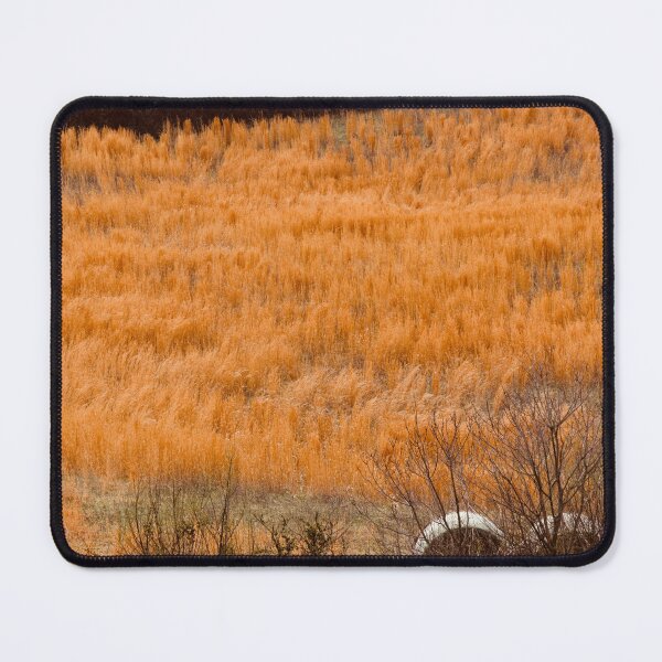 Item preview, Autumn Country Field Appalachia designed and sold by ktmobrien.