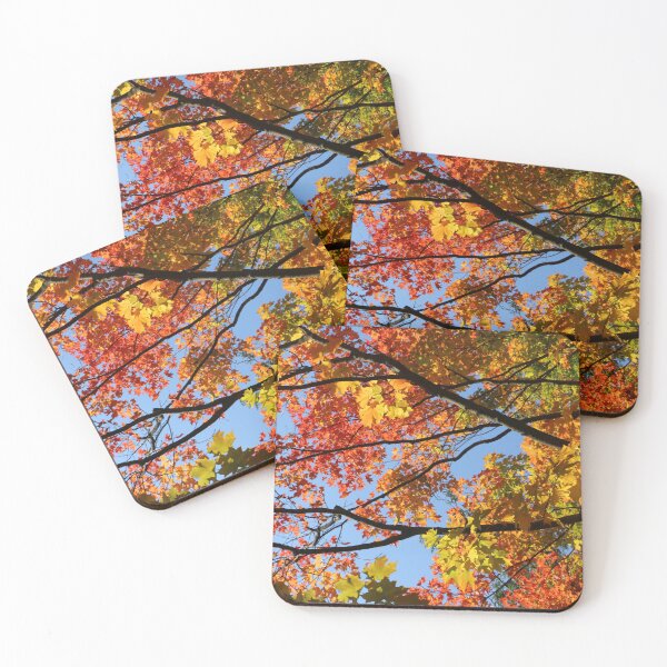 Item preview, An Explosion of Color designed and sold by Theophanes Avery.