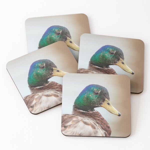 Item preview, Mallard Male designed and sold by jvnimages.