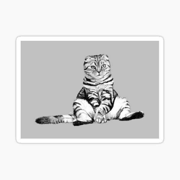 Artikel-Vorschau von Katzenskizze - Scottish Fold, designt und verkauft von GeoCreate.