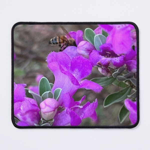 Item preview, Bee and purple flowers photography designed and sold by lemonsNlavender.