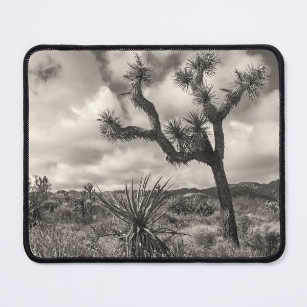 Item preview, Joshua Tree bw designed and sold by jvnimages.