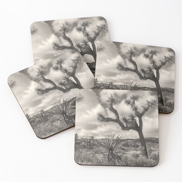 Item preview, Joshua Tree bw designed and sold by jvnimages.