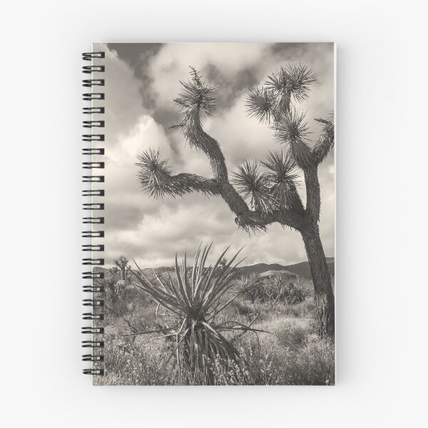Item preview, Joshua Tree bw designed and sold by jvnimages.