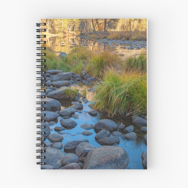 Item preview, Dried Up Merced designed and sold by jvnimages.