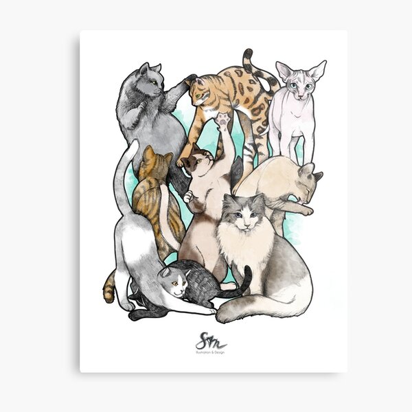 Cat Love Metallbild