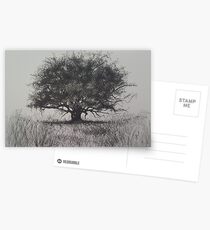 Hawthorne Postcards