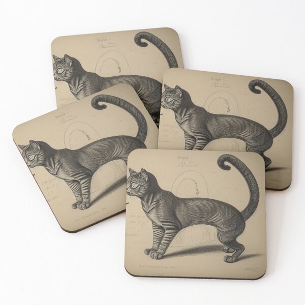 Item preview, Curly Tail Cat designed and sold by akanahdyer.