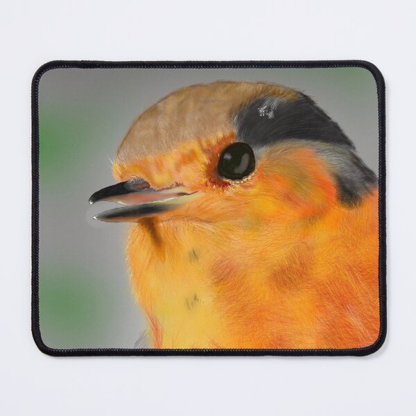 Item preview, Robin designed and sold by AllArtUK.