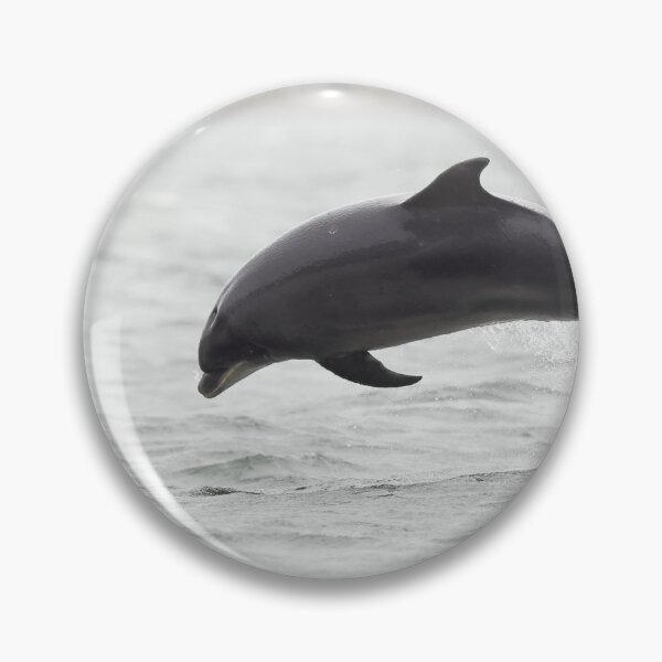 Item preview, Close action breaching dolphin designed and sold by chanonry.