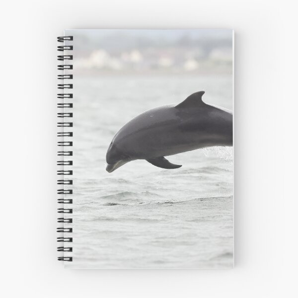 Item preview, Close action breaching dolphin designed and sold by chanonry.