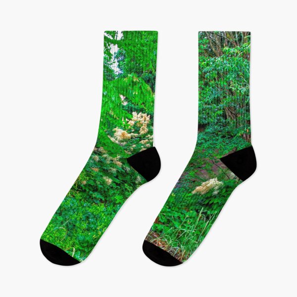 Item preview, The Beatrix Potter Garden in Birnam designed and sold by tomg.