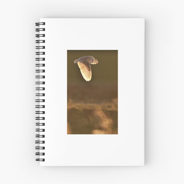 Item preview, Barn Owl - Hunting over the Marshes designed and sold by Tony Skerl.