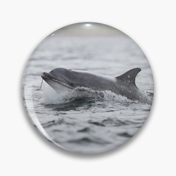 Item preview, Copy of Close action breaching dolphin designed and sold by chanonry.