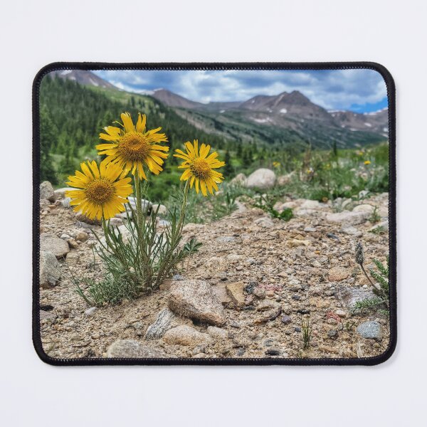 Item preview, Mosquito Pass designed and sold by EyeOfDelight.