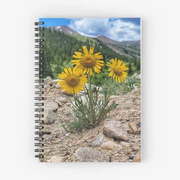 Item preview, Mosquito Pass designed and sold by EyeOfDelight.