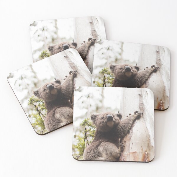 Item preview, Koala in Gum Tree designed and sold by timmyvincent.