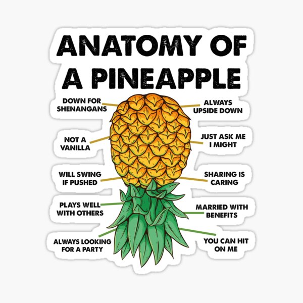 "Anatomy Of A Pineapple" Sticker for Sale by skolldz Redbubble