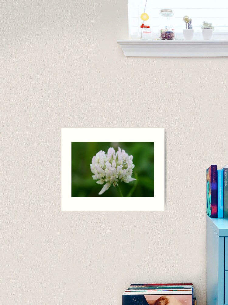 Thumbnail 2 of 3, Art Print, Red Clover Flower designed and sold by theoddshot.