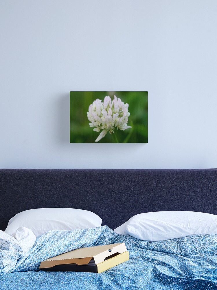 Thumbnail 2 of 3, Canvas Print, Red Clover Flower designed and sold by theoddshot.