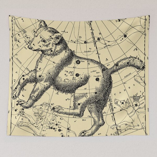 Item preview, Ursa Major and Minor Constellation Map - Aesthetic, Astronomy, Space designed and sold by SpaceDogLaika.