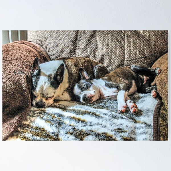 Item preview, "Best Buds Furever" designed and sold by wiscbackroadz.