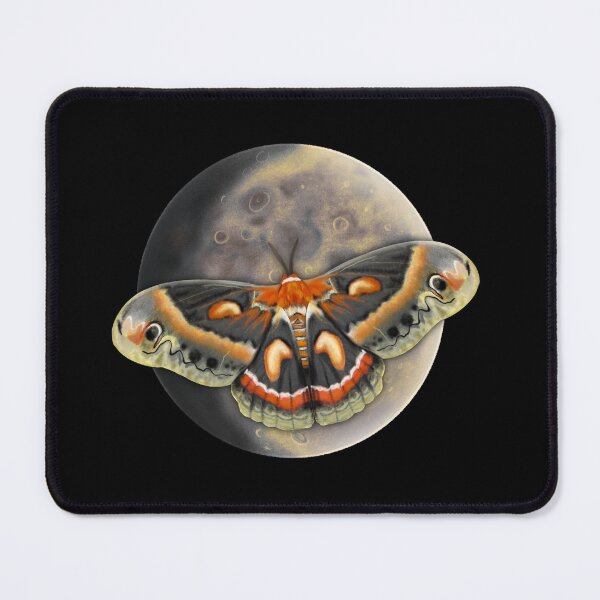 Item preview, Cecropia Moth & Moon designed and sold by Katie Morris Art.