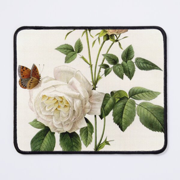 Item preview, Vintage botanical illustration by P.J. Redoute. White rose flowers and butterflies. designed and sold by naturematters.