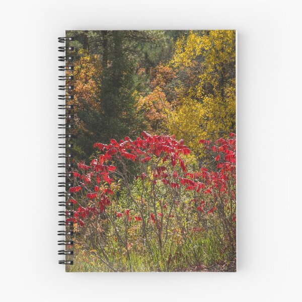 Item preview, Sumac Red designed and sold by Gary Benson.