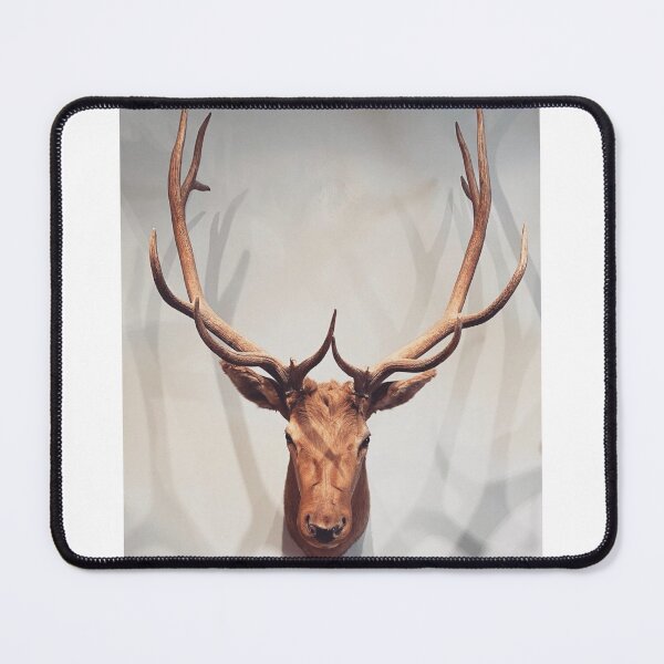Item preview, American Elk Head Mount designed and sold by curiocabinets.