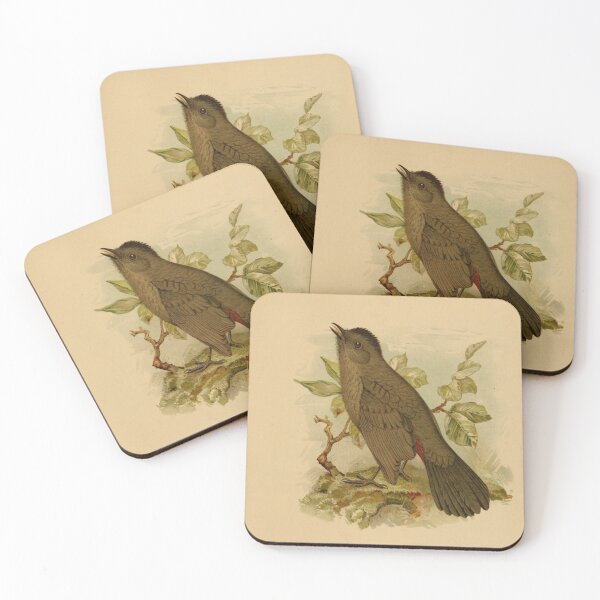 Item preview, Catbird Calling For Mate designed and sold by laguitan10.