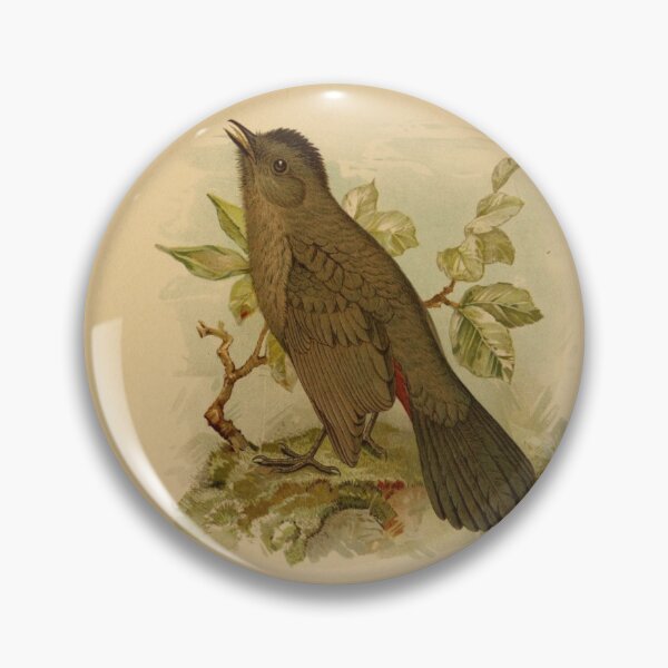 Item preview, Catbird Calling For Mate designed and sold by laguitan10.