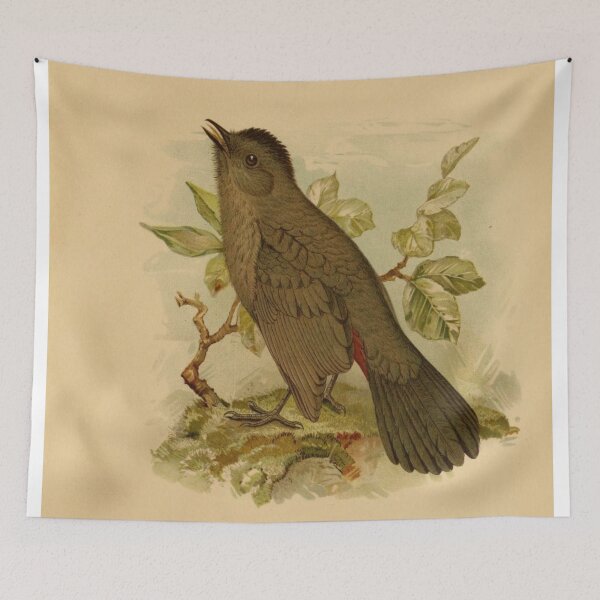 Item preview, Catbird Calling For Mate designed and sold by laguitan10.