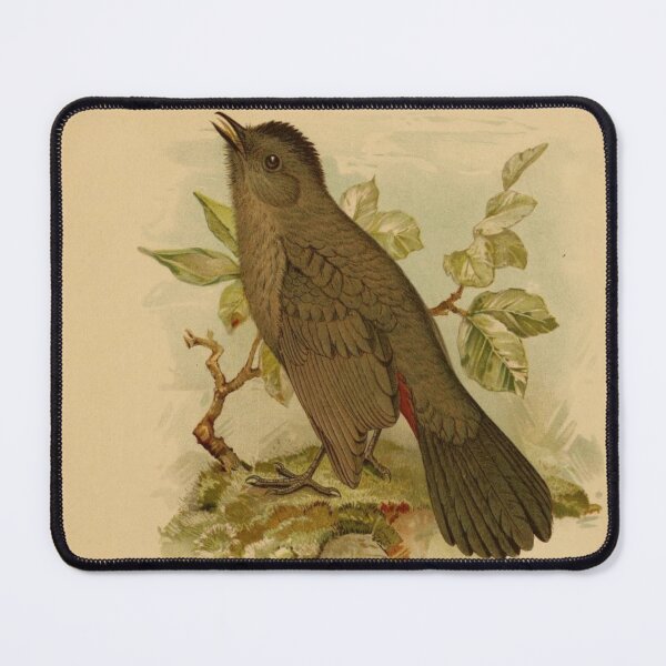Item preview, Catbird Calling For Mate designed and sold by laguitan10.