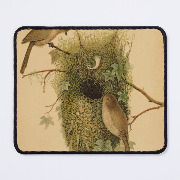 Item preview, American Bushtits Building A Nest designed and sold by laguitan10.