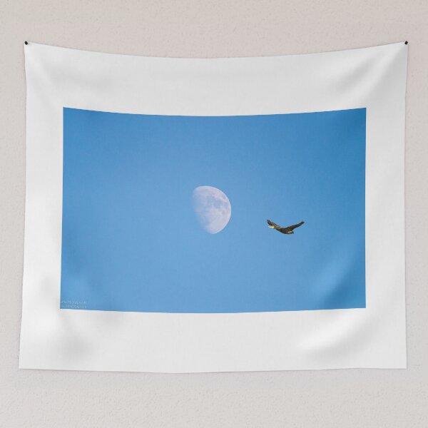 Item preview, THE MOON AND THE DUCK designed and sold by AngRos80.