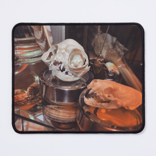 Item preview, Curiosity Cabinet designed and sold by curiocabinets.