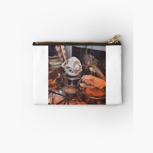 Item preview, Curiosity Cabinet designed and sold by curiocabinets.
