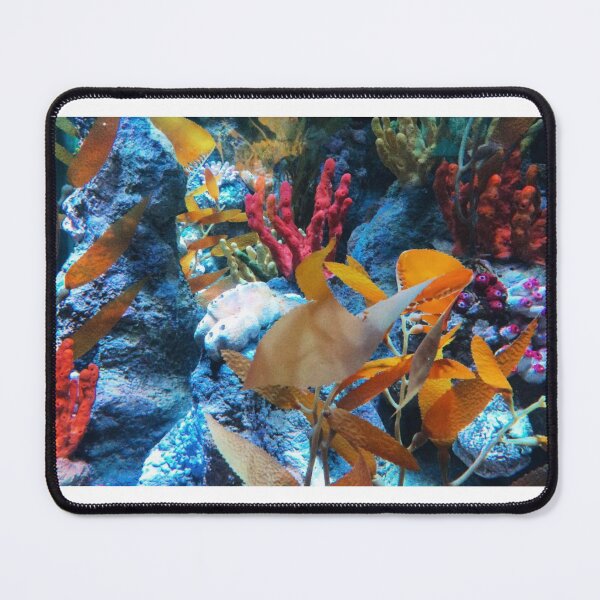 Item preview, Reef Scene designed and sold by curiocabinets.