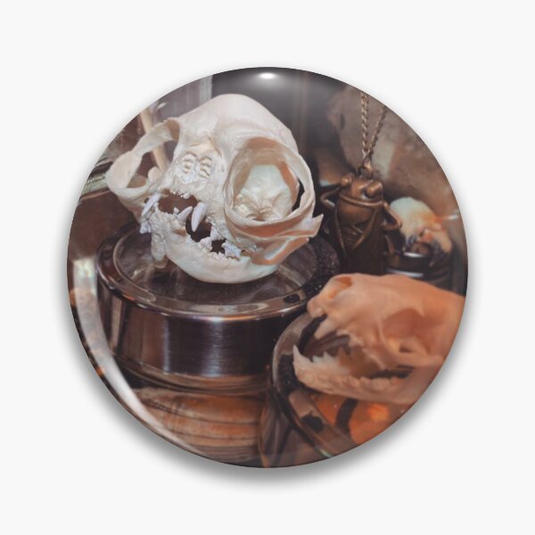 Item preview, Curiosity Cabinet designed and sold by curiocabinets.