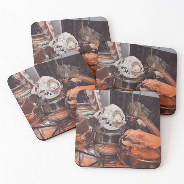 Item preview, Curiosity Cabinet designed and sold by curiocabinets.