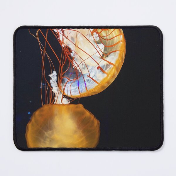 Item preview, Jellyfish designed and sold by curiocabinets.