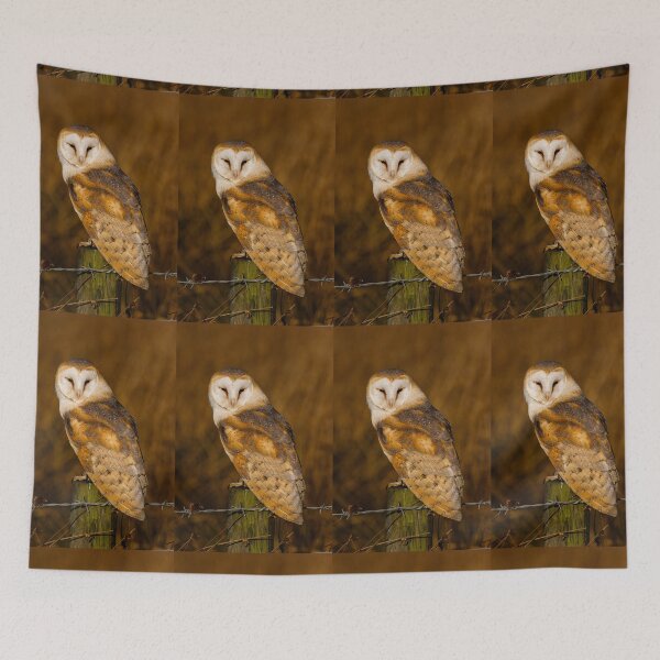 Item preview, Barn Owl perch and pounce hunting designed and sold by Dalyndigital Photography.