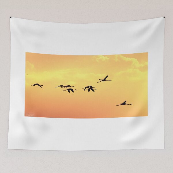 Item preview, FLAMINGO designed and sold by AngRos80.