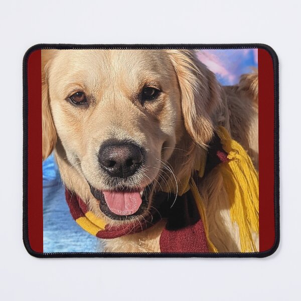 Item preview, Golden retriever puppy Potter scarf autumn portrait designed and sold by Fluffycat2020.