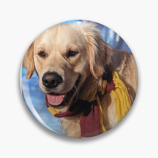 Item preview, Golden retriever puppy Potter scarf autumn portrait designed and sold by Fluffycat2020.