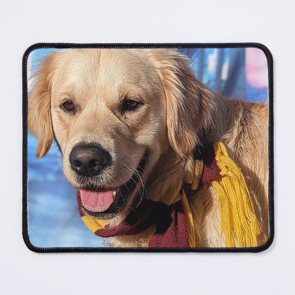 Item preview, Golden retriever puppy Potter scarf autumn portrait designed and sold by Fluffycat2020.