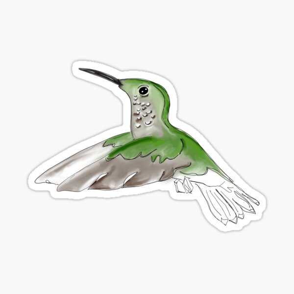 Hummingbird 2 Sticker