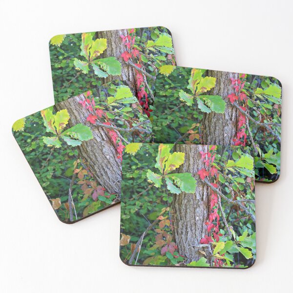 Item preview, Fall Colors on the Leaves and Vines designed and sold by Martha Sherman.