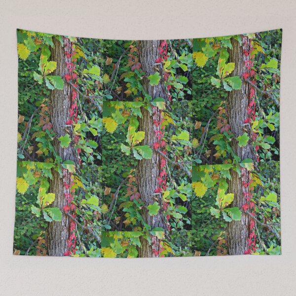 Item preview, Fall Colors on the Leaves and Vines designed and sold by Martha Sherman.